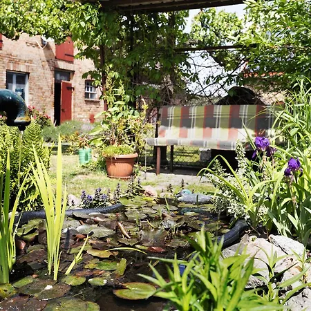 Tatil Evi Unser Sonnenhof Reudnitz
