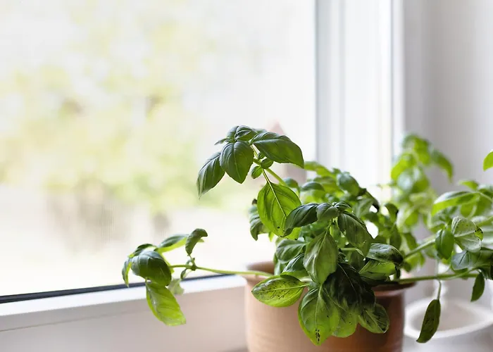 Unser Sonnenhof Reudnitz Friedland (Brandenburg)