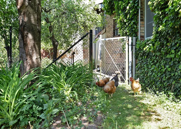 Unser Sonnenhof Reudnitz * Friedland (Brandenburg)